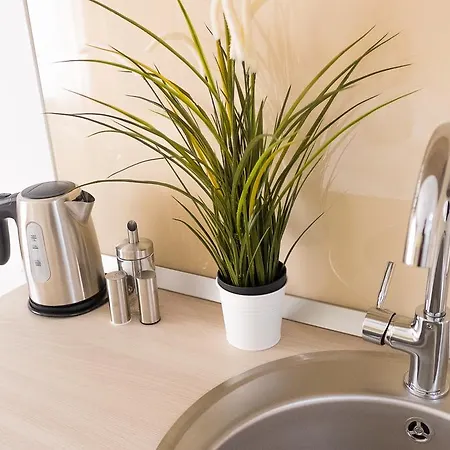 Grand - Doamnei 公寓 布加勒斯特